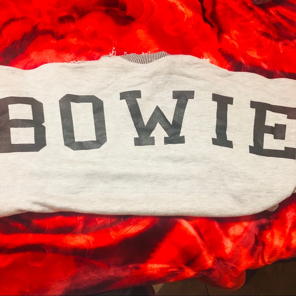 Bowie Distressed sweater